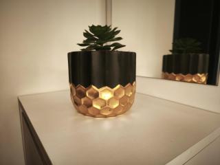 LE PETIT PONTILLARD - Hypercentre - Face Opera & Parcs - 1