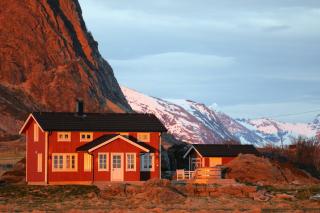 Beautiful Cabin Embraced By Rich Wildlife - Hov - 0
