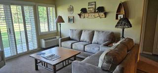 Charming 1BDR Condo w Spectacular Golf Course View - 5518 - 2