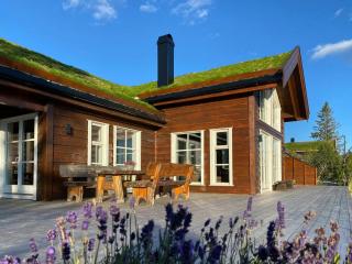 Traditional Cabin With Views Of Hardangervidda - Uvdal - 6