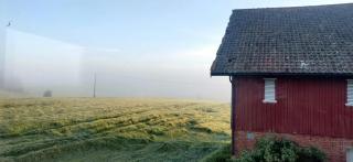 Unique And Charming Cabin In Rural Surroundings - Vidnes - 8