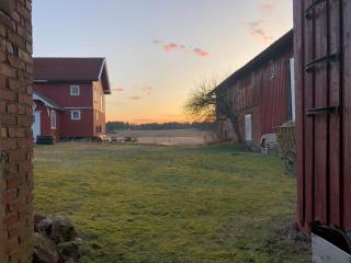 Unique And Charming Cabin In Rural Surroundings - Vidnes - 5