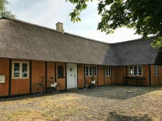 Holiday Home With Orangery In Rudbjerg - - 8
