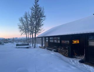 Ålhytte Near Vasetvannet - Ron - 9