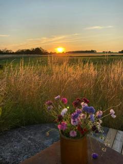 Countryside Estate By Almindingen Bornholm - Gudhjem - 9