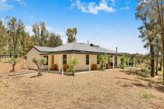 La Villetta home on vineyard - Pokolbin - 1
