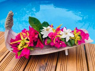 Noa Noa Lodge -  - 4