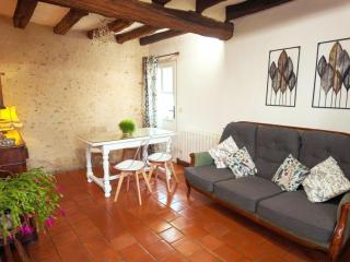 Gîte confortable avec parc boisé, activités familiales et équipements modernes près de la Loire - FR-1-381-470 - 1