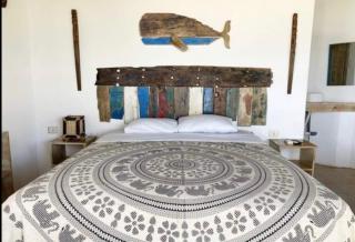 Marinus Eco Lodge - Canoas - 8