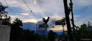 Hotel Vista Farallones - Jardin - 6