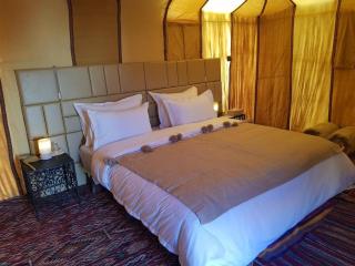 Amrad luxury camp - 6