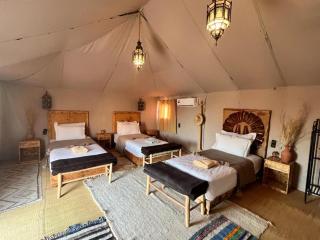 Amrad luxury camp - 6