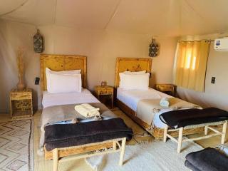 Amrad luxury camp - 4