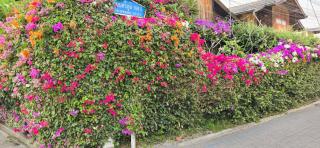 Siriwan Hostel - Chiang Mai - 4