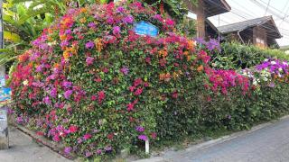 Siriwan Hostel - Chiang Mai - 3