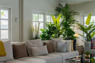 Aphrodite Pool Villa Old City 7 Bed Rooms - Chiang Mai - 2
