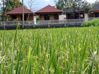 Arif Bungalows Lombok - Tetebatu - 2