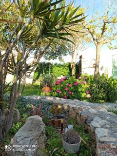 Seaside Villa Vanessa - Sitia - 9