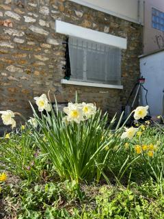 Cozy apartment with garden - 6