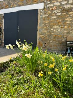 Cozy apartment with garden - 7