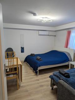 Brand NEW apartment in Walldorf with kitchen and AC - Walldorf - 2