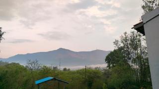 Coffee Cozy Homestay - Chikmagalūr - 8