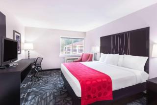 Ramada by Wyndham Tuscaloosa - Tuscaloosa - 4
