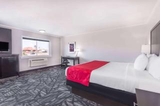 Ramada by Wyndham Tuscaloosa - Tuscaloosa - 1