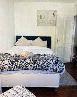 Heartwarming and vibrant PRIVATE ROOM in rental unit - Londra - 8