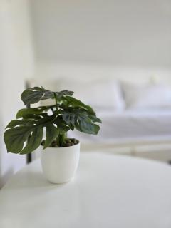 Ledinić room - Mokošica - 5