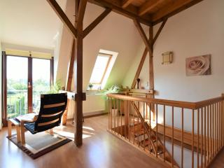 Fabelhaftes Ferienhaus in Thorstorf in Meeresnaehe - Thorstorf - 5