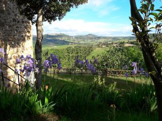 Villa Mulinello, view of Montepulciano - Montefollonico - 7