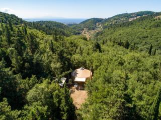Forest Yurt - 7