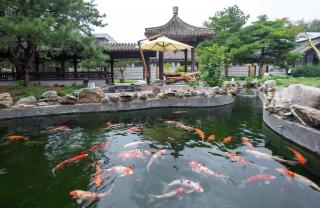 北京水城一瓢私汤度假酒店 - Beijing - 6