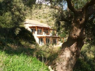 apartment with seaview Lefkada - Vassiliki - 3