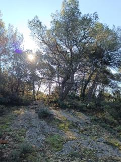 Le Refuge des Cigalons - Cavaillon - 3