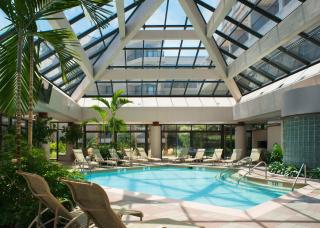 Hilton Beachfront Resort & Spa Hilton Head Island - Hilton Head Island - 2