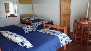 Hostal El Colibri - Vicuña - 7