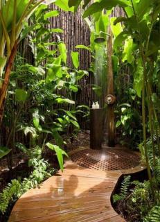 Dhome guest elite - 4