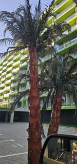 Bell Marina Premium Suite Beach Pool & Spa Resort Waterfront - Mamaia Nord – Năvodari - 3