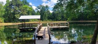 Peaceful Cabin with Dock and Pond Views in Georgia - Claxton - 5