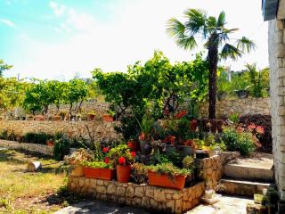 Apartments Franjić - 2