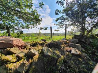 Hide and Sheep Shepherds Hut - - 9