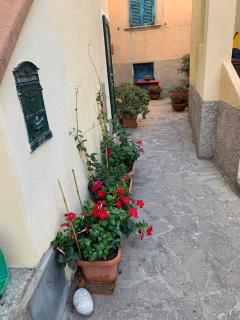 Bilocale Becky - Al Cotone - Marciana Marina - 3