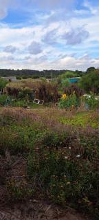 El Monte de Baubo Ecocasa - 4