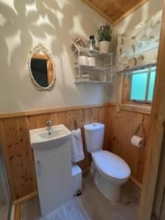 Cosy Wooden Shepherds Hut - - 1