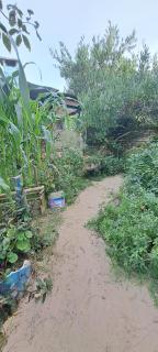 El Monte de Baubo Ecocasa - Barra de Valizas - 1