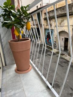 Loftino28 - 9