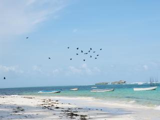 Charlie's PlaceWatamu - Watamu - 6