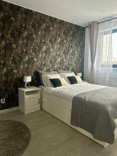 Cozy apartament - Bukarest - 1